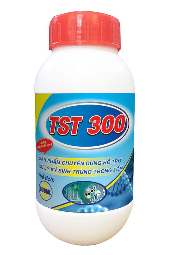 TST 300
